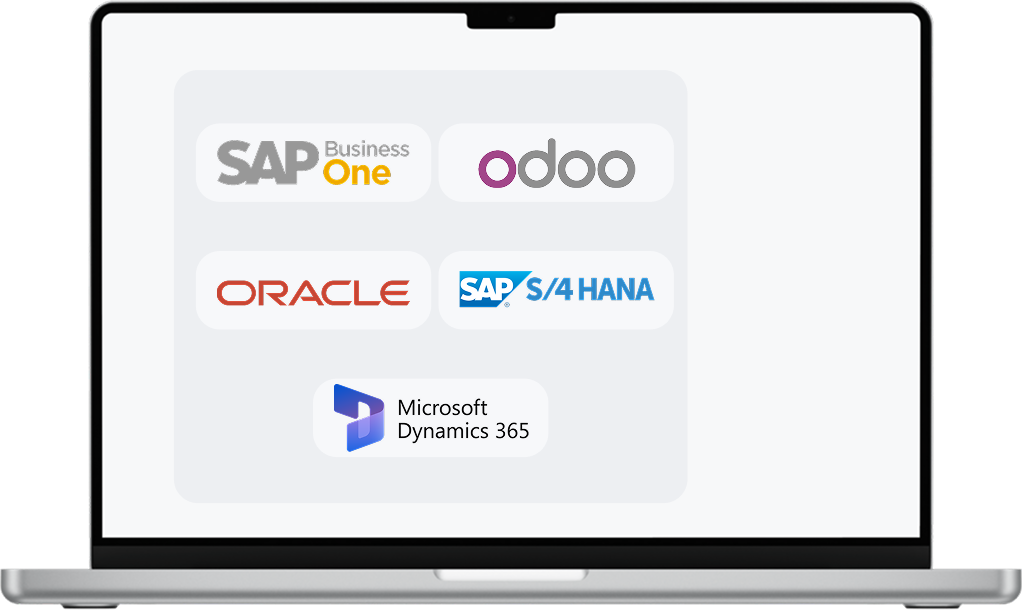 ERP Systems